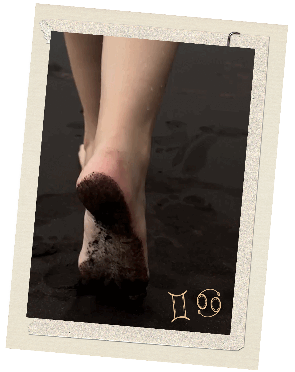 Legs photo